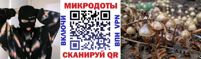 Галлюциногенные грибы MAGIC MUSHROOMS Волгореченск